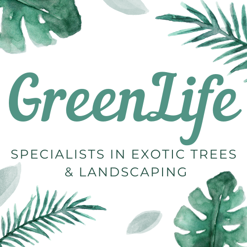 Greenlife Exotic Trees & Landscaping